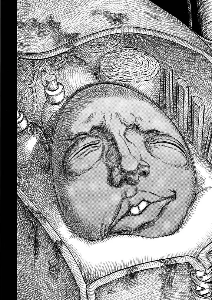 Berserk Chapter 219 image 03_optimized