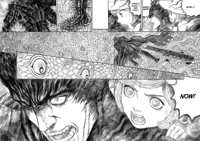 Berserk Chapter 326 image 11_optimized