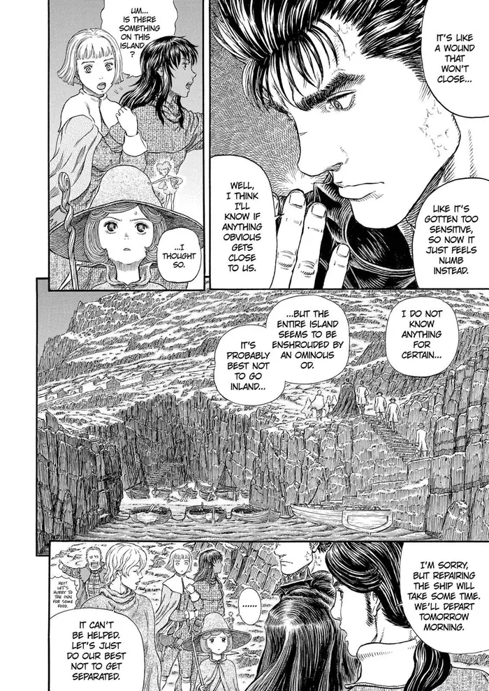 Berserk Chapter 311 image 11_optimized