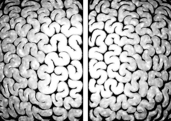 Berserk Chapter 306 image 12_optimized