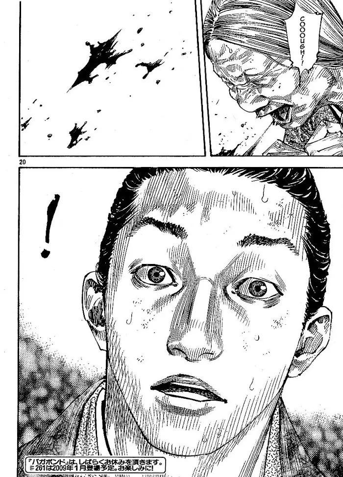 Vagabond Chapter 260 image 19_optimized