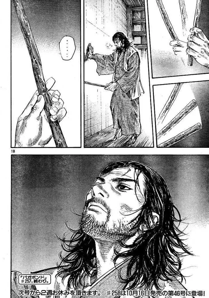 Vagabond Chapter 257 image 18_optimized