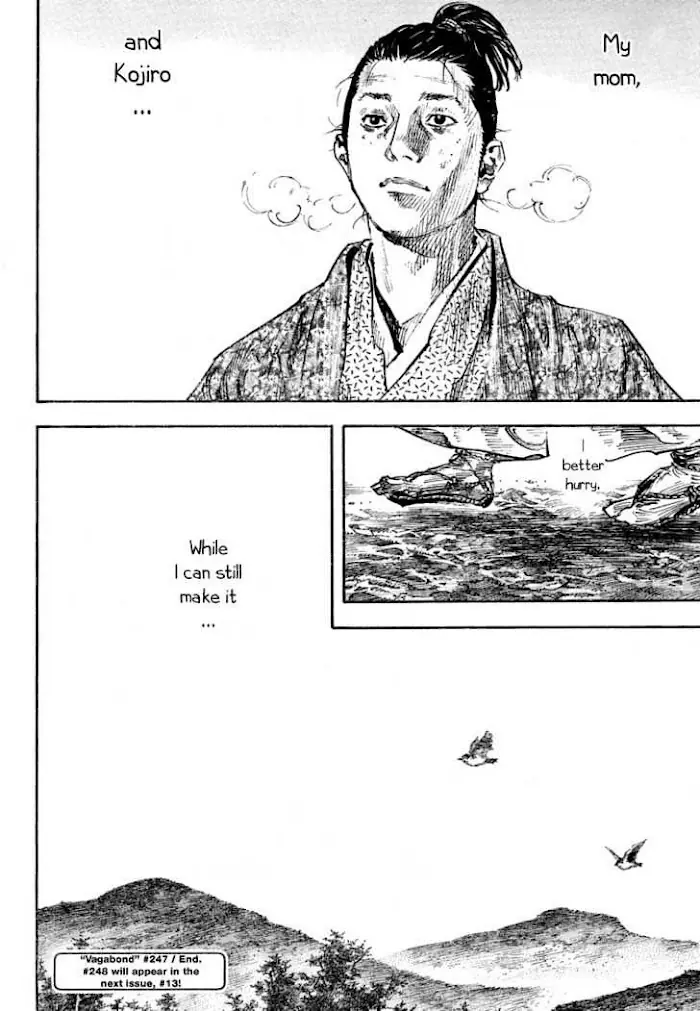 Vagabond Chapter 248 image 17_optimized