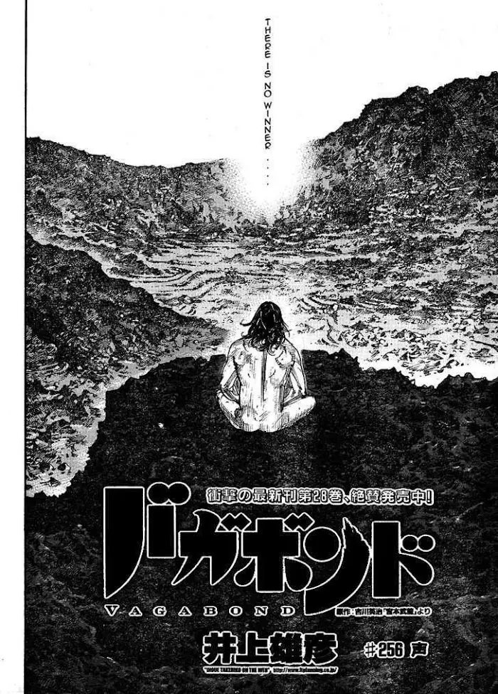 Vagabond Chapter 256 image 04_optimized