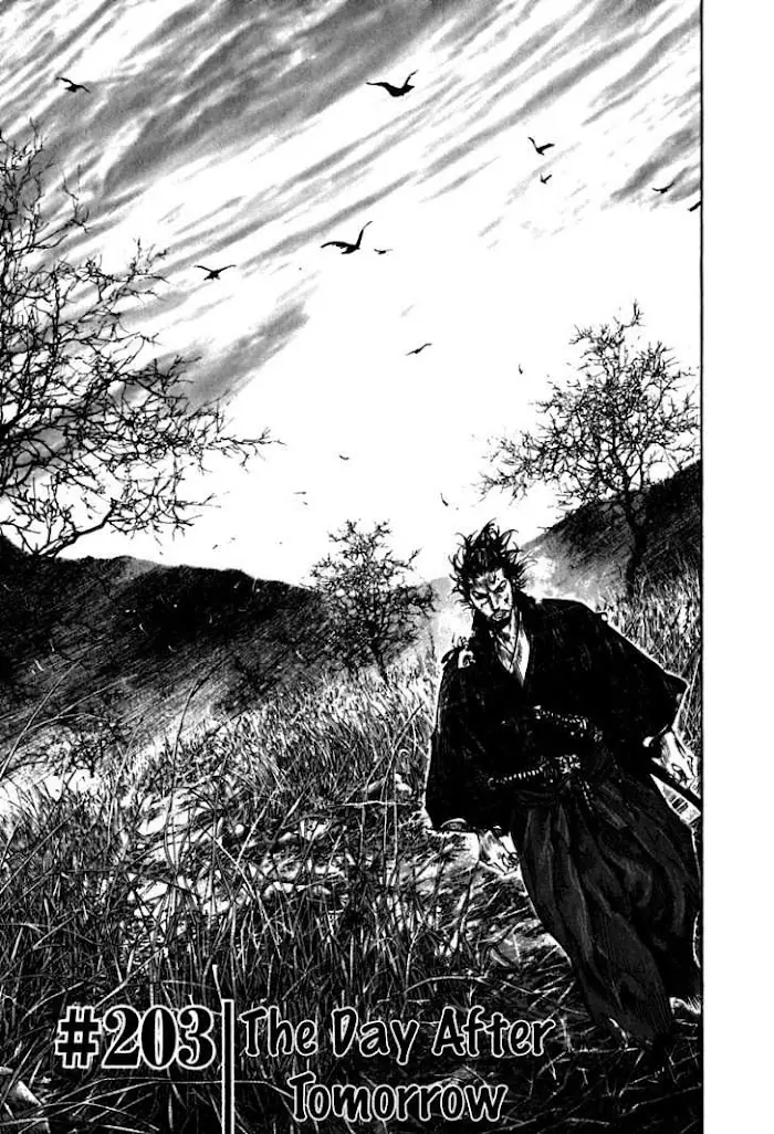 Vagabond Chapter 203 image 01_optimized