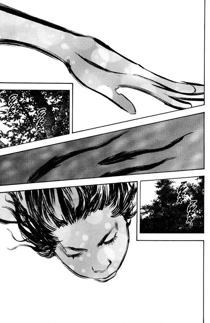 Vagabond Chapter 207 image 24_optimized