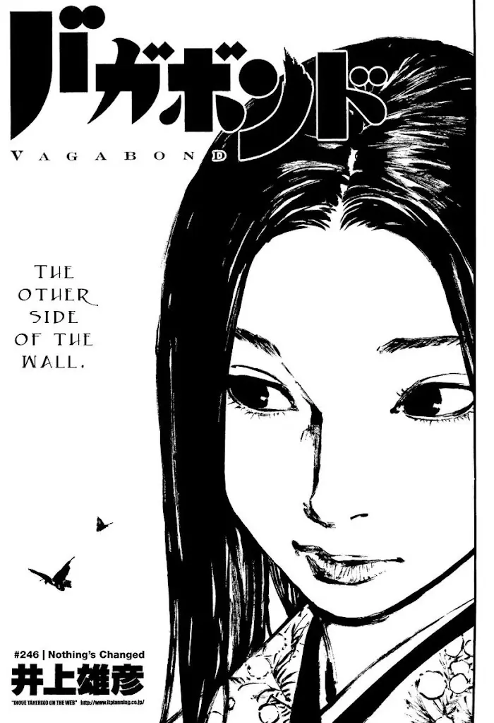 Vagabond Chapter 246 image 01_optimized