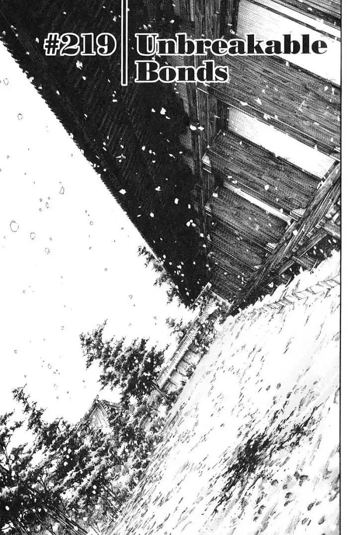 Vagabond Chapter 219 image 01_optimized