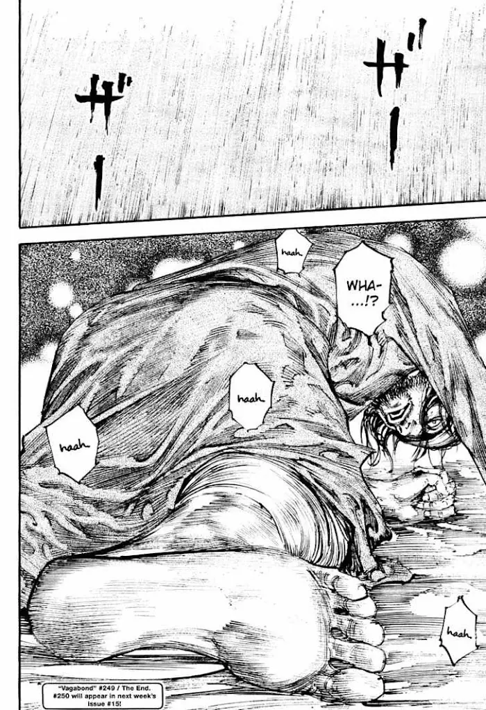 Vagabond Chapter 249 image 20_optimized