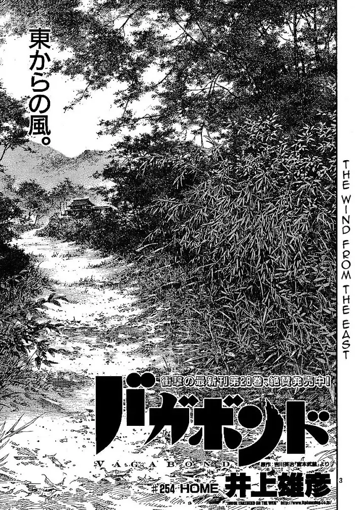 Vagabond Chapter 254 image 03_optimized