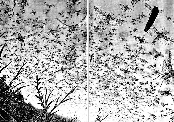 Vagabond Chapter 309 image 04_optimized
