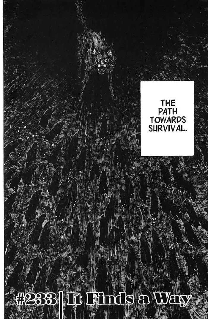 Vagabond Chapter 233 image 03_optimized