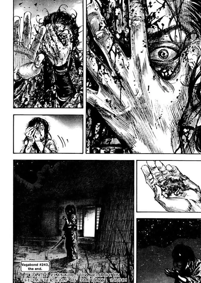 Vagabond Chapter 243 image 24_optimized