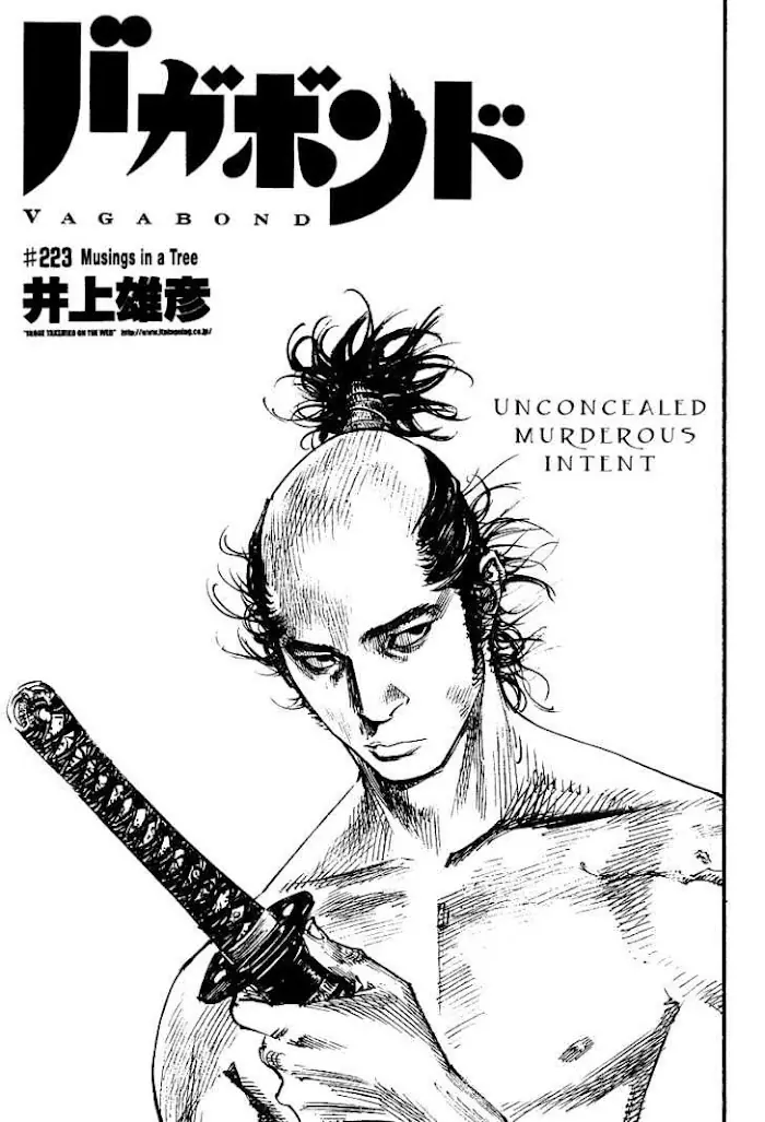 Vagabond Chapter 223 image 01_optimized