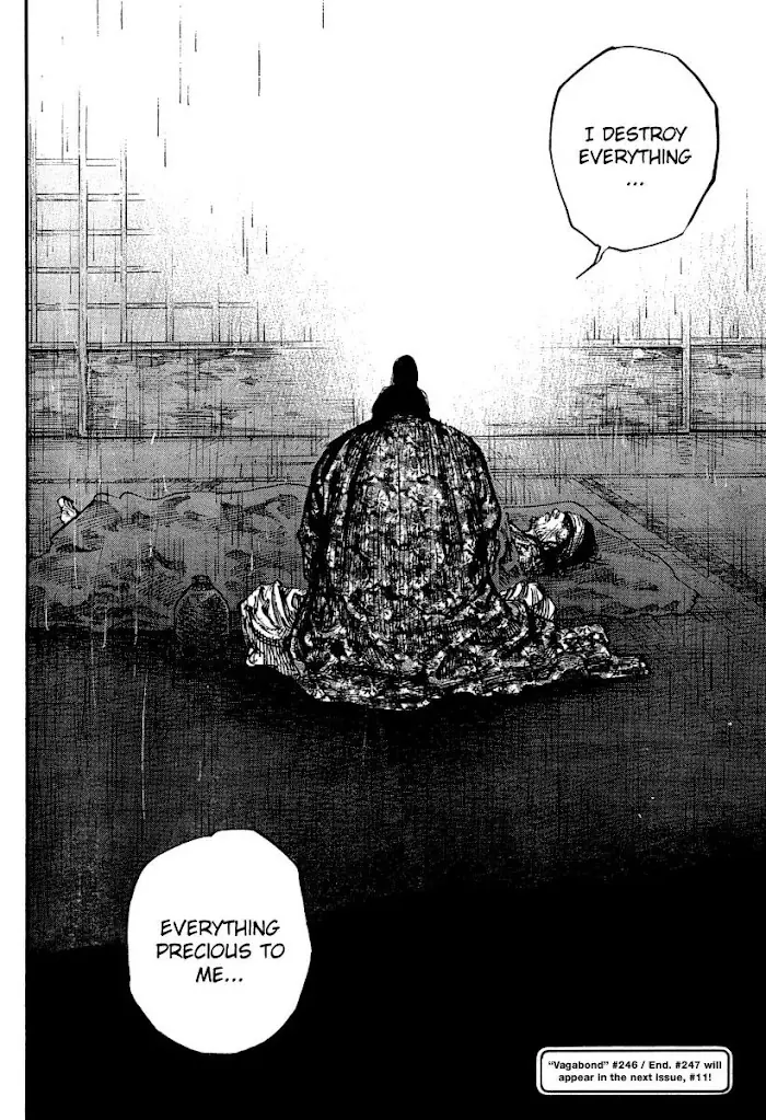 Vagabond Chapter 246 image 16_optimized