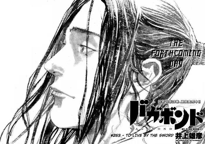 Vagabond Chapter 253 image 03_optimized