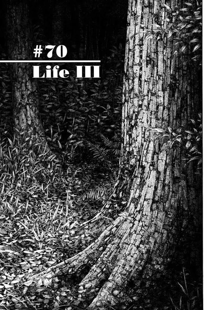 Vagabond Chapter 70 image 01_optimized